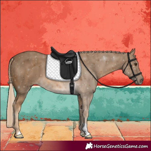 Horse Color:Chocolate Palomino 