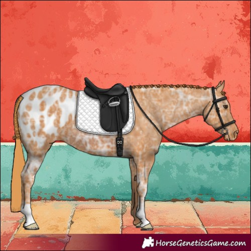 Horse Color:Watercolor Chestnut Ice Blanket