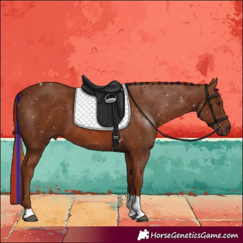 Horse Color:Painted Chestnut Tobiano 