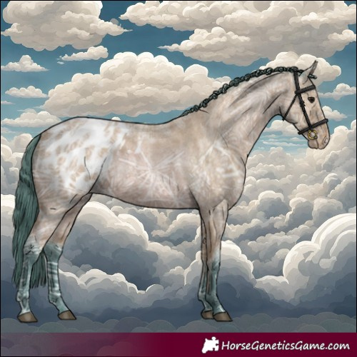 Horse Color:Watercolor Bay Ice Roan Appaloosa 