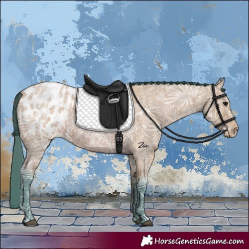 Horse Color:Watercolor Bay Ice Roan Appaloosa 