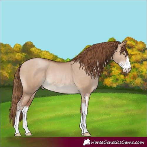 Horse Color:Brown Pearl Dun Sabino Rabicano 