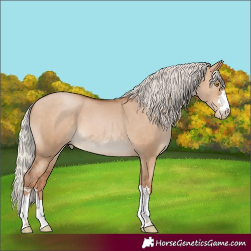 Horse Color:Silver Brown Pearl Dun