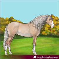 Horse Color:Silver Brown Pearl Dun