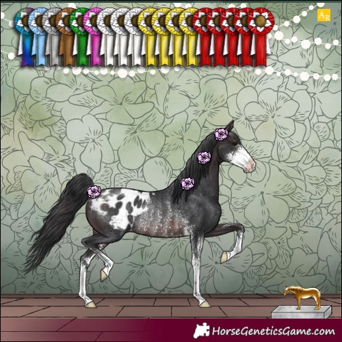 Horse Color:Brown Sabino Blanket Rabicano 