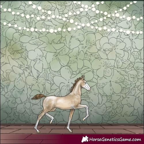 Horse Color:Buckskin Pearl Sabino 