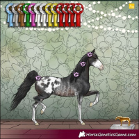 Horse Color:Brown Sabino Blanket Rabicano