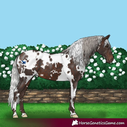 Horse Color:White Spotted Silver Brown Mushroom 
