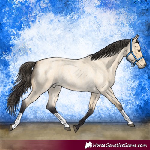 Horse Color:Buckskin Roan 