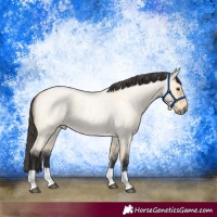 Horse Color:Buckskin Roan Dun 