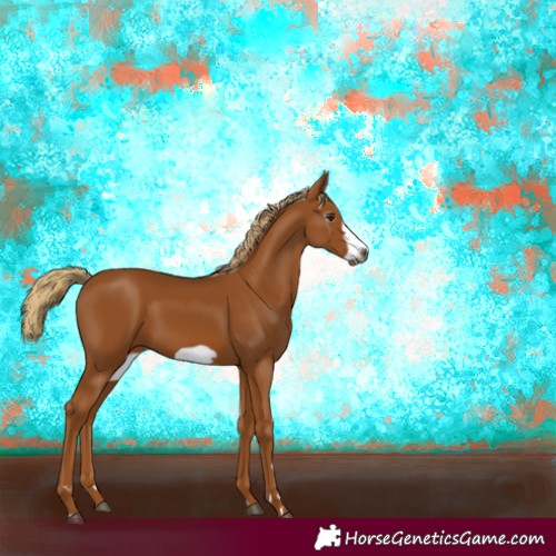 Horse Color:Gray Chestnut Frame 
