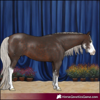 Horse Color:Silver Brown Sabino 
