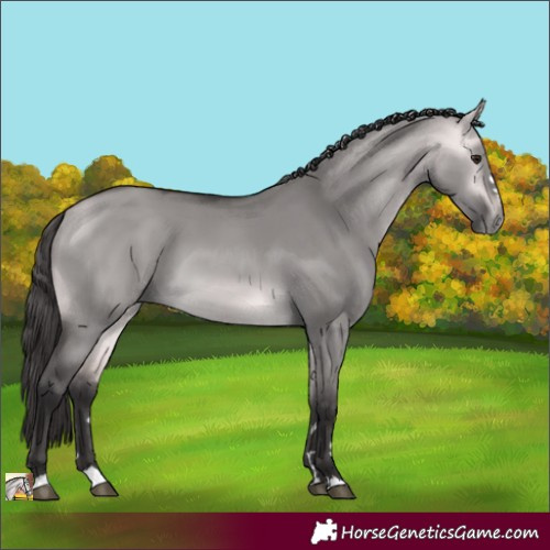 Horse Color:Platinum Buckskin Dun 