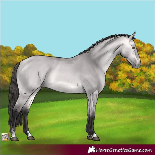 Horse Color:Platinum Buckskin Dun 