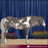 Horse Color:White Spotted Silver Black 