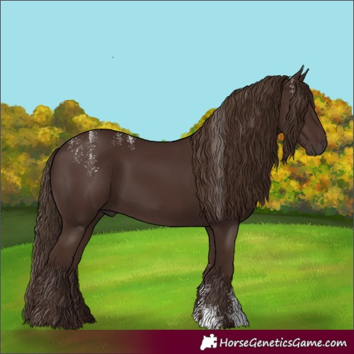 Horse Color:Powder White Liver Chestnut