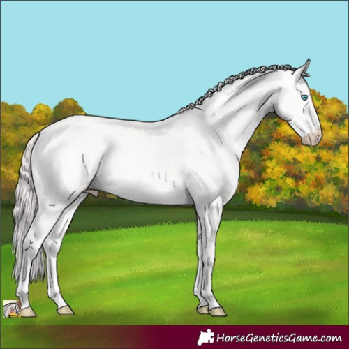 Horse Color:Platinum Perlino Dun 