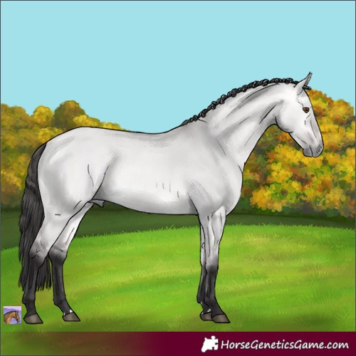 Horse Color:Platinum Buckskin Dun 