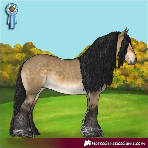 Horse Color:Gray Buckskin Dun Tobiano 