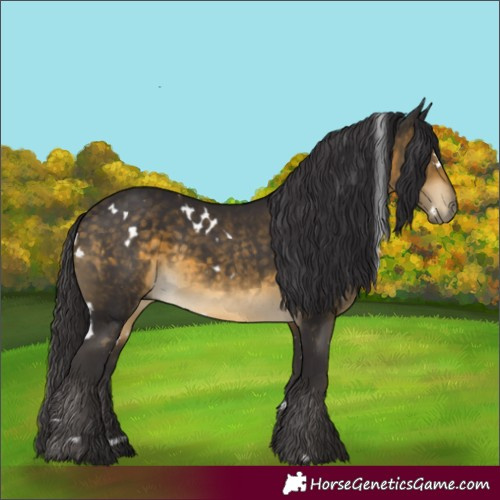 Horse Color:White Spotted Buckskin