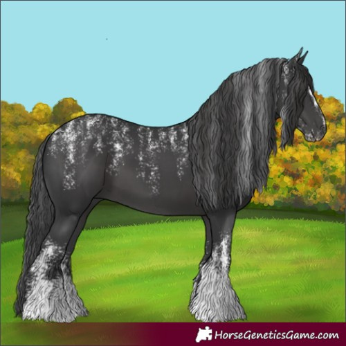 Horse Color:Powder White Black 