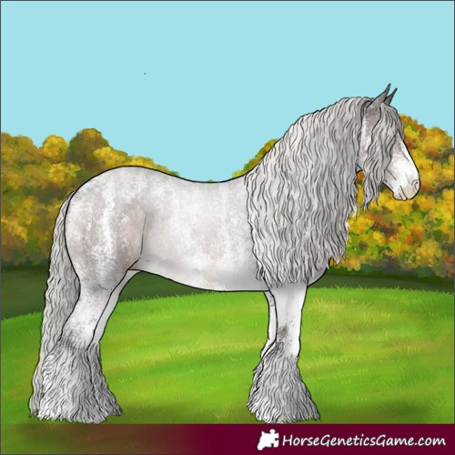 Horse Color:Powder White White Spotted Silver Brown Rabicano