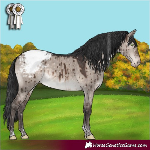 Horse Color:Brown Dun Mushroom Tobiano Appaloosa Brindle 