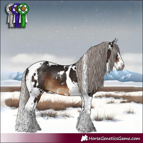 Horse Color:Gray White Spotted Silver Brown Splash Tobiano