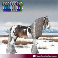 Horse Color:Gray White Spotted Silver Brown Splash Tobiano 