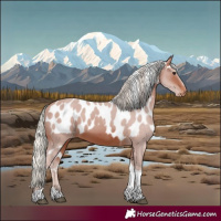 Horse Color:Silver Brown Tobiano Skewed Appaloosa