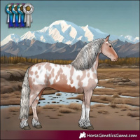 Horse Color:Silver Brown Tobiano Skewed Appaloosa