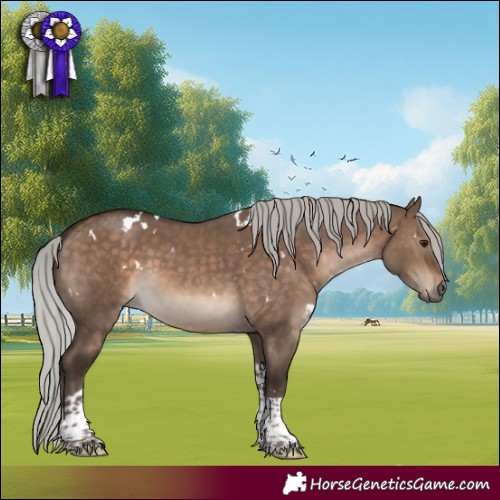 Horse Color:White Spotted Silver Brown Dun Tobiano