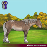 Horse Color:White Spotted Silver Brown Dun Tobiano