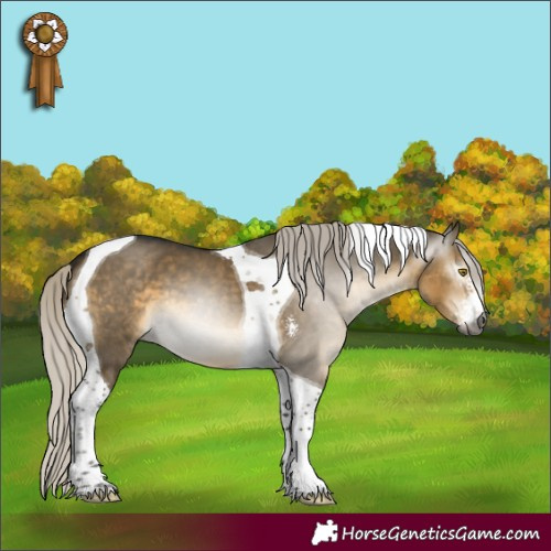 Horse Color:Gray Silver Buckskin Dun Sabino Tobiano