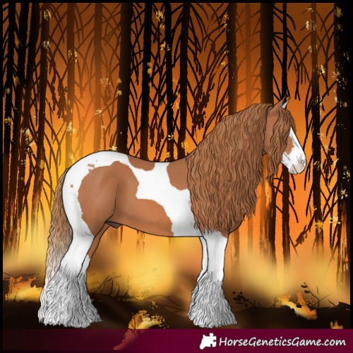 Horse Color:Chestnut Splash Tobiano 