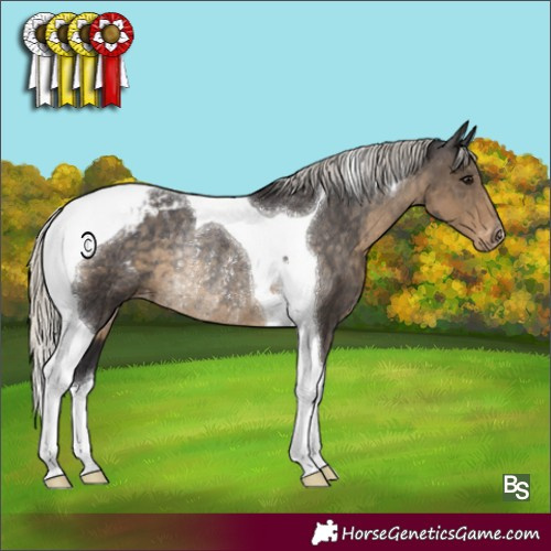 Horse Color:Silver Smoky Black Tobiano Varnish Rabicano