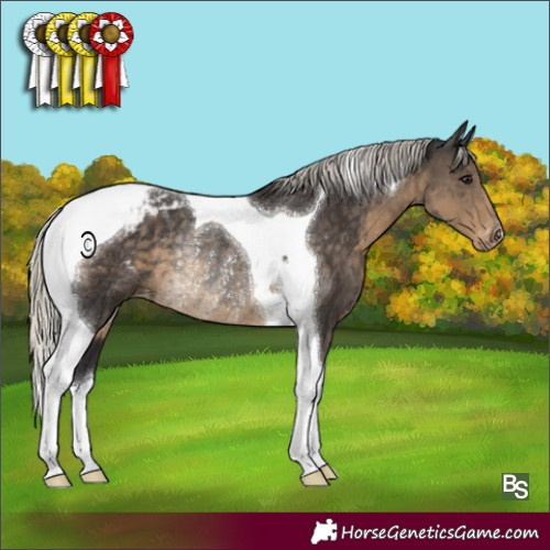 Horse Color:Silver Smoky Black Tobiano Appaloosa Rabicano