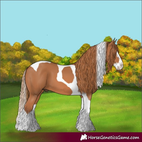 Horse Color:Chestnut Splash Tobiano 