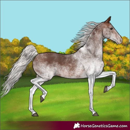 Horse Color:White Spotted Silver Brown 