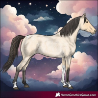 Horse Color:Buckskin Roan Tobiano 