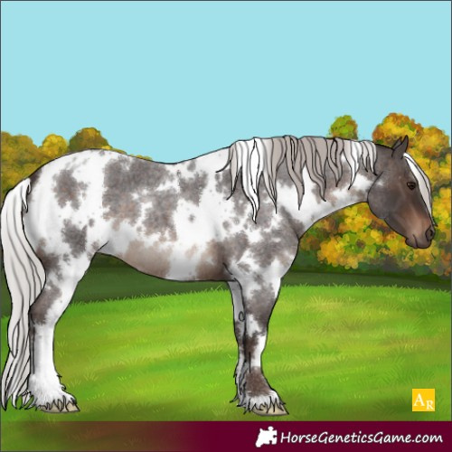 Horse Color:White Spotted Silver Brown Roan
