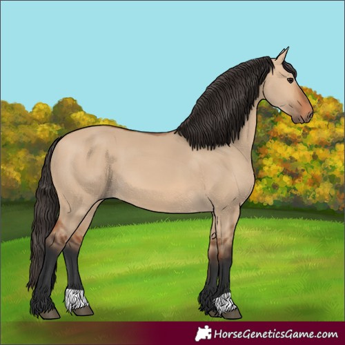 Horse Color:Bay Dun