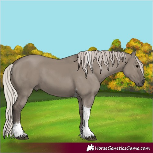 Horse Color:Silver Grullo Tobiano 
