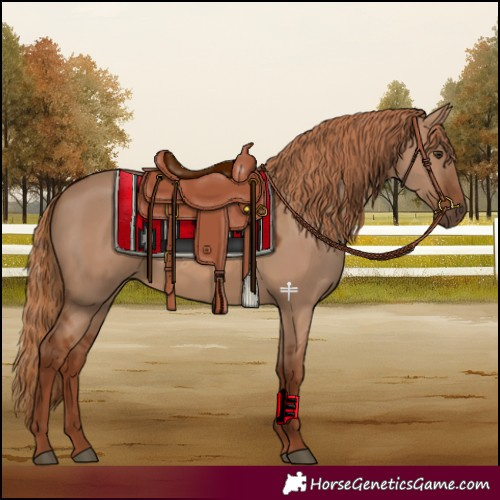 Horse Color:Red Dun 