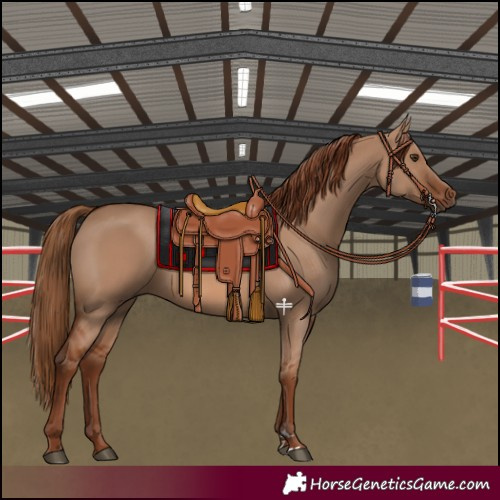 Horse Color:Red Dun 