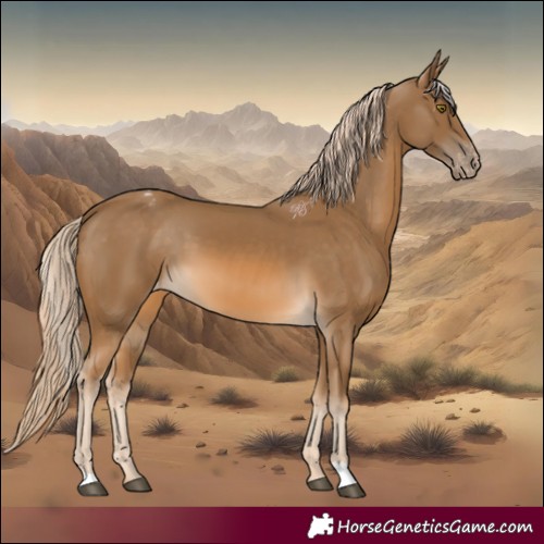 Horse Color:Chocolate Palomino Varnish 