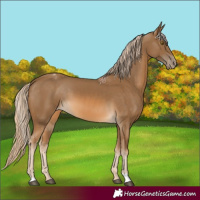 Horse Color:Chocolate Palomino Varnish 