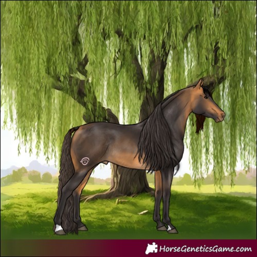 Horse Color:Buckskin Rabicano