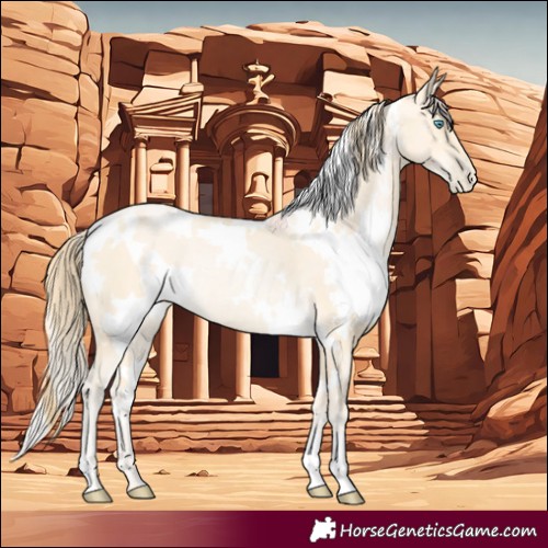 Horse Color:White Spotted Buckskin Pearl Rabicano 