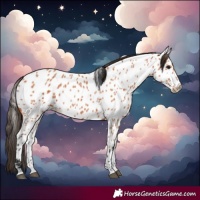Horse Color:Bay Near Leopard